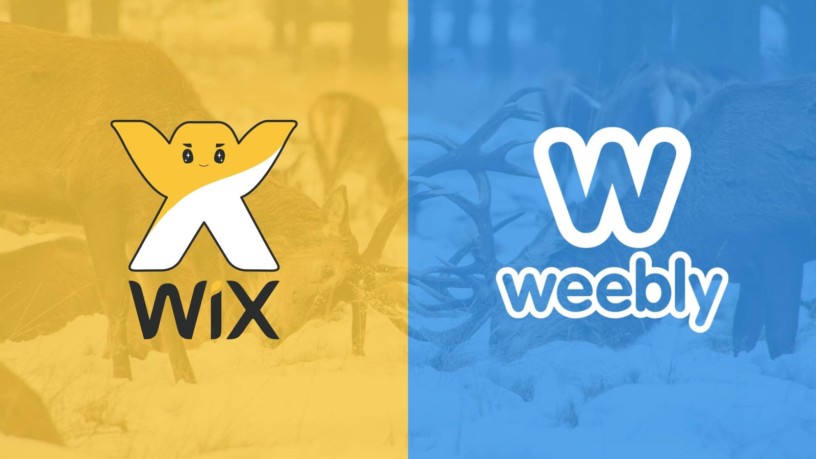 Wix vs. Weebly: Website Builder Showdown
