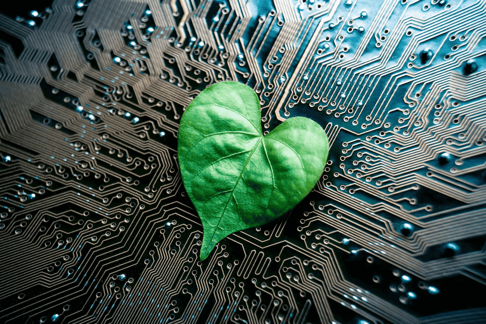Top 15 IT Sustainability and Green Computing Companies