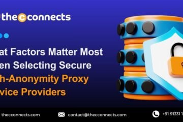 High-Anonymity Proxy Service Providers