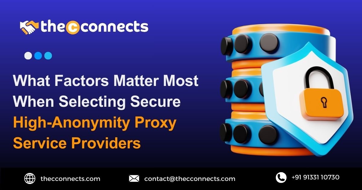 High-Anonymity Proxy Service Providers