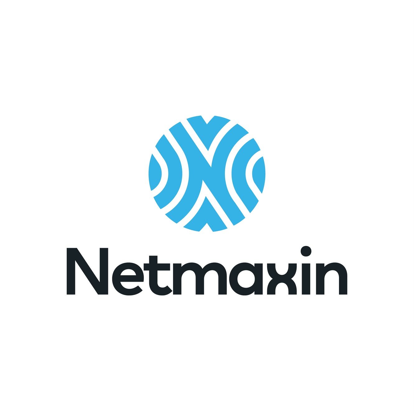 Netamaxin Logo